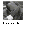 Text Box:  
Ethiopias PM        





