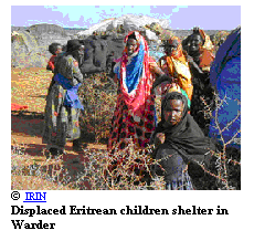 Text Box:  
  IRIN
Displaced Eritrean children shelter in Warder
